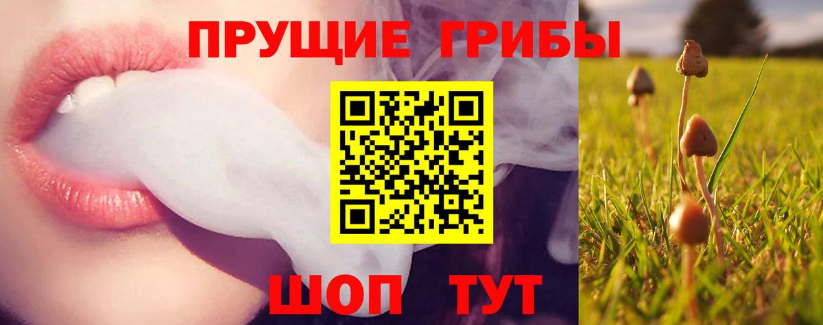 Сафоново  купить закладку  Вход с VPN  Галлюциногенные грибы GOLDEN TEACHER 