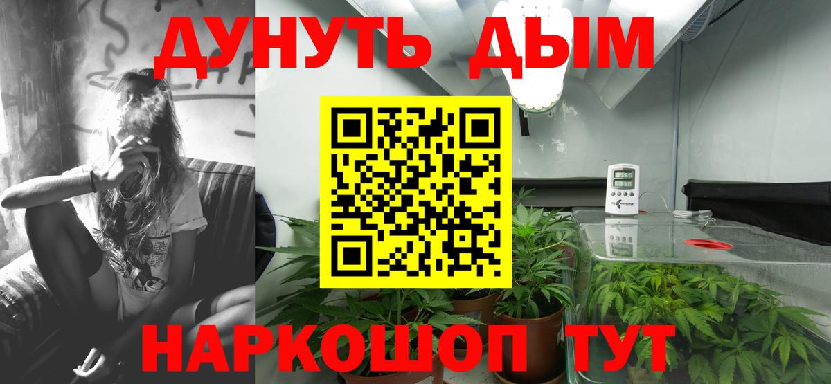 Сафоново  Марихуана Amnesia  Вход с VPN  Канабис THC 21%  Конопля VHQ 
